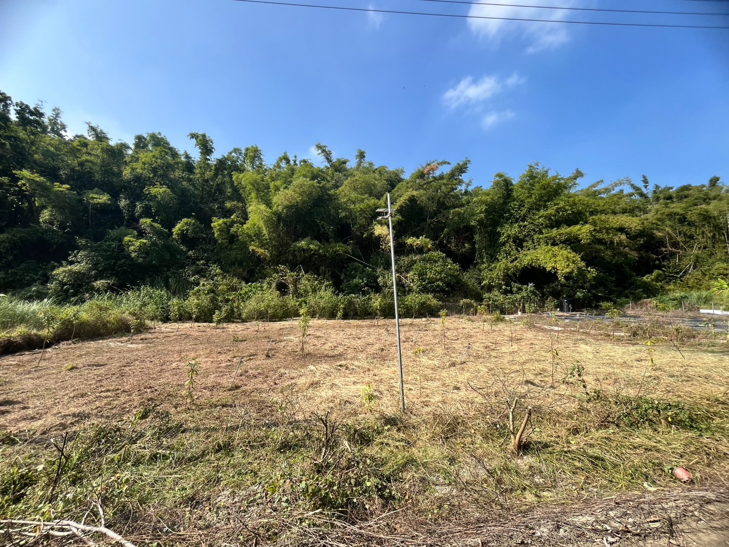 台南市左鎮平坦近市區農地