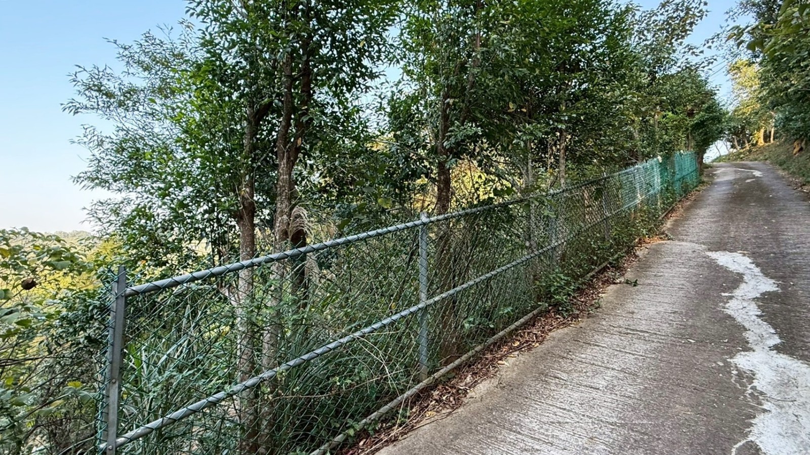 關西過雲山莊休閒農地~專約