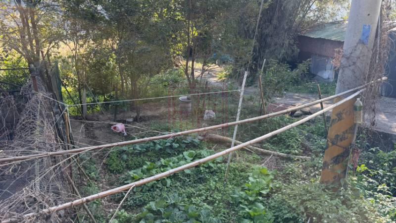 新竹縣新埔鎮照東國小休閒地 春明地產