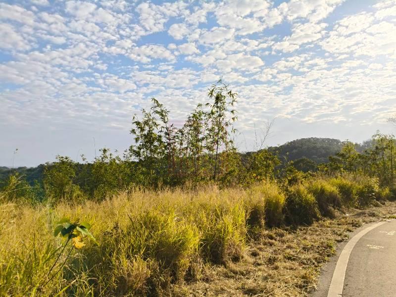 新竹縣寶山鄉臨近國家藝術園區農地(1) 春明地產