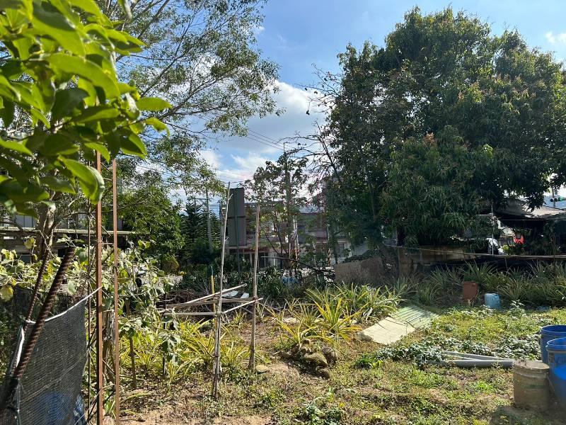 新竹縣峨眉鄉正台三線小坪數乙建(1) 春明地產