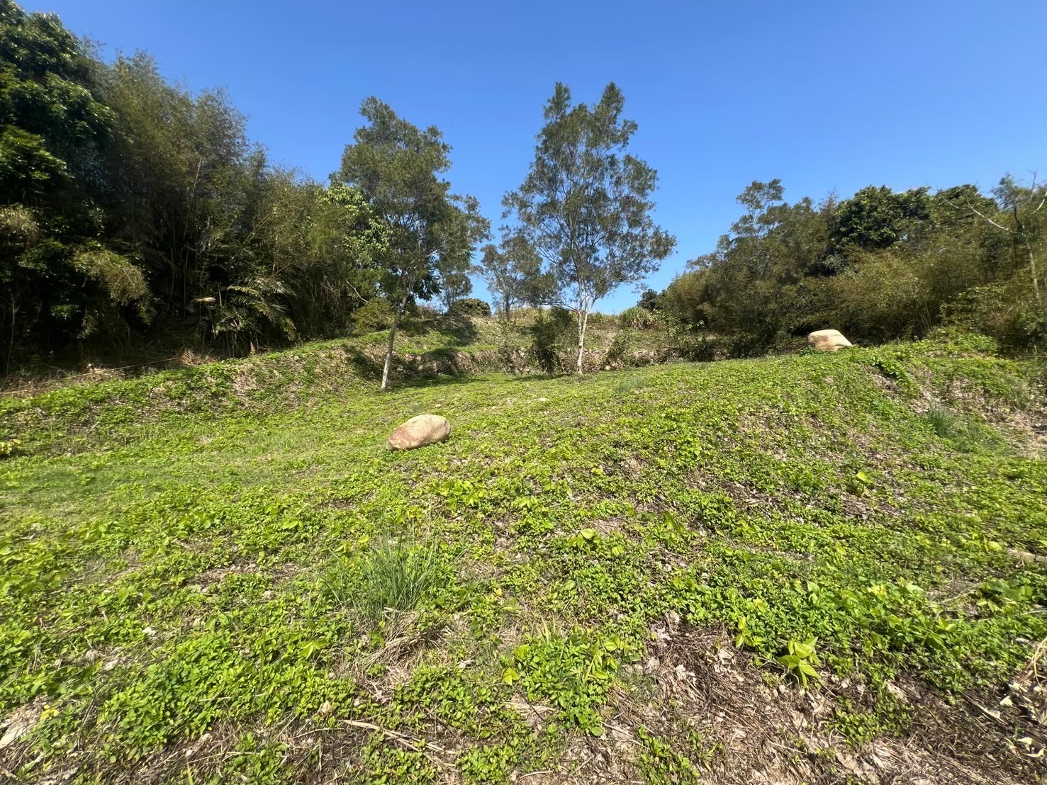 新社雙翠水壩公車養生寶地