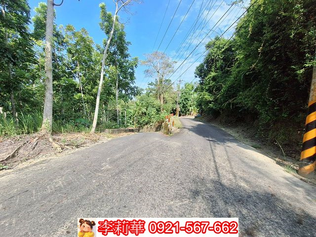 龍崎桃花心木低價農地