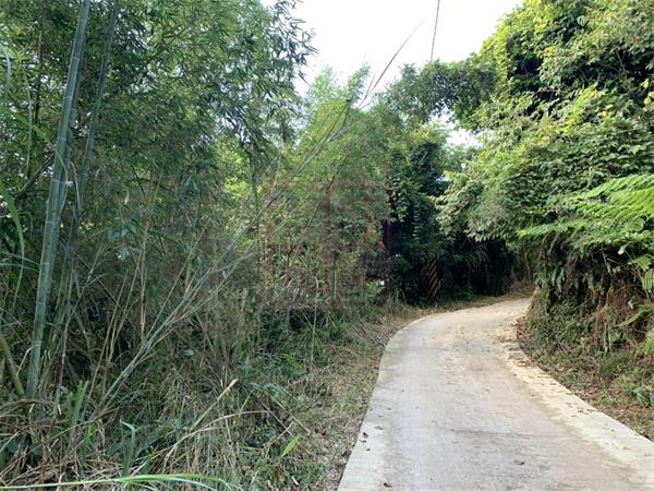 新竹縣尖石鄉比馬胎涵館露營地還高的景觀地 春明地產