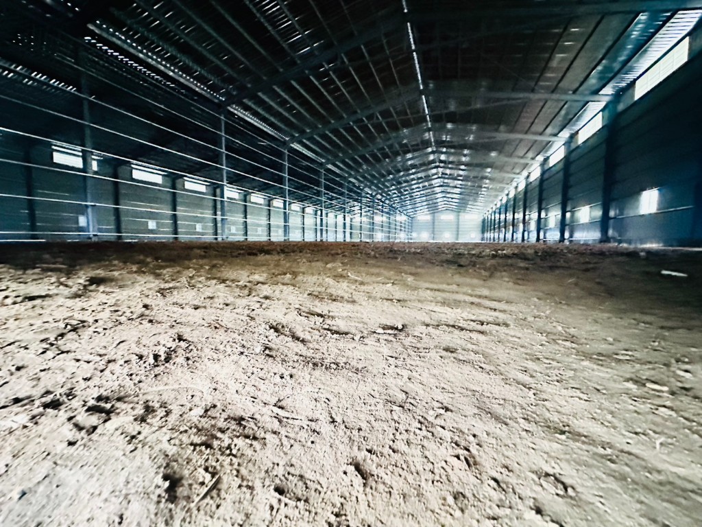 大園近61挑高鋼構廠房