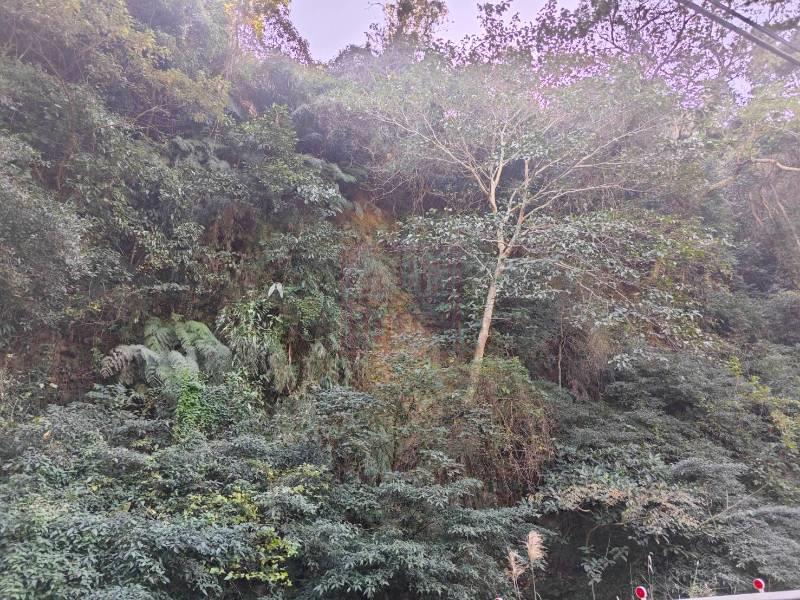 新竹縣芎林鄉王爺坑低總價千坪林地 春明地產