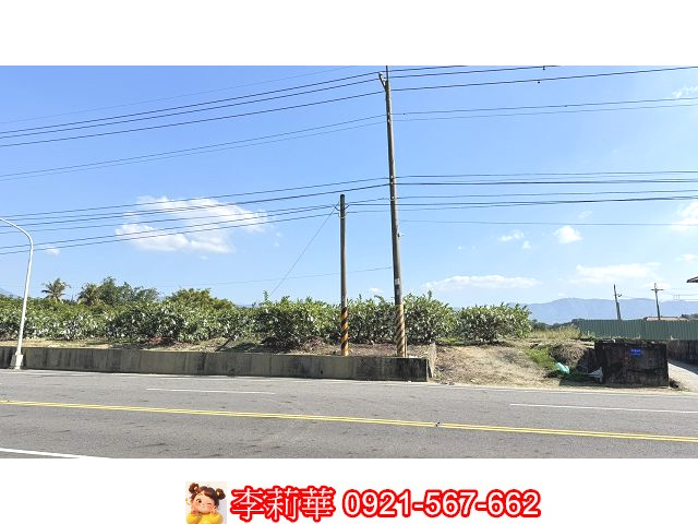 玉井區臨台20線優質農地