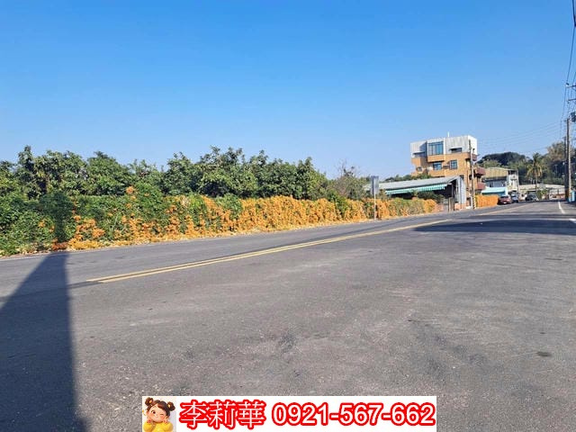 山上區大新段優質農地(大小可選)