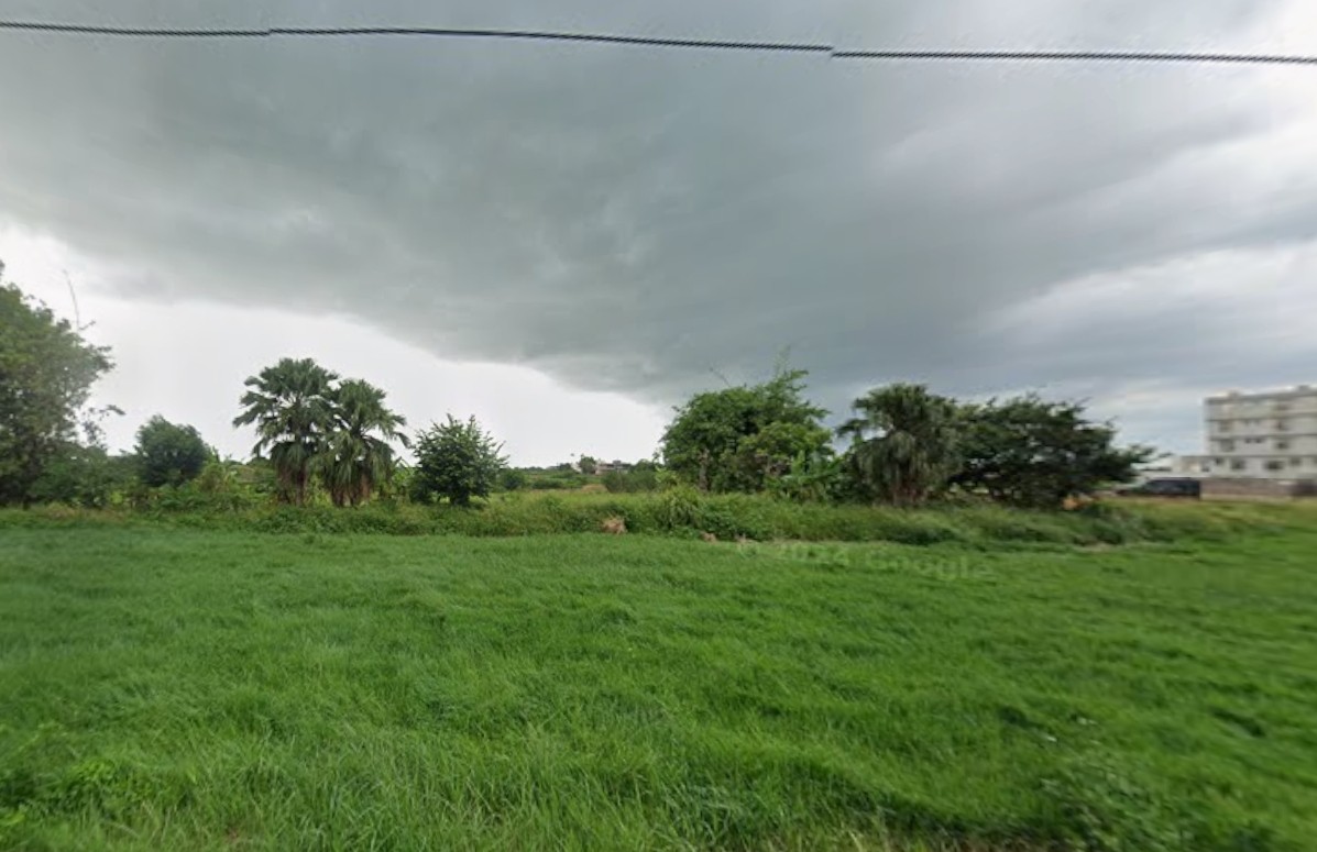 大園和平段農地