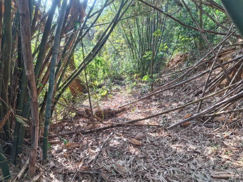 新竹縣寶山鄉雙林大面積農地 春明地產