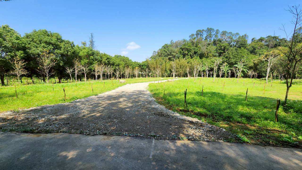 橫山八十分小農地~分管