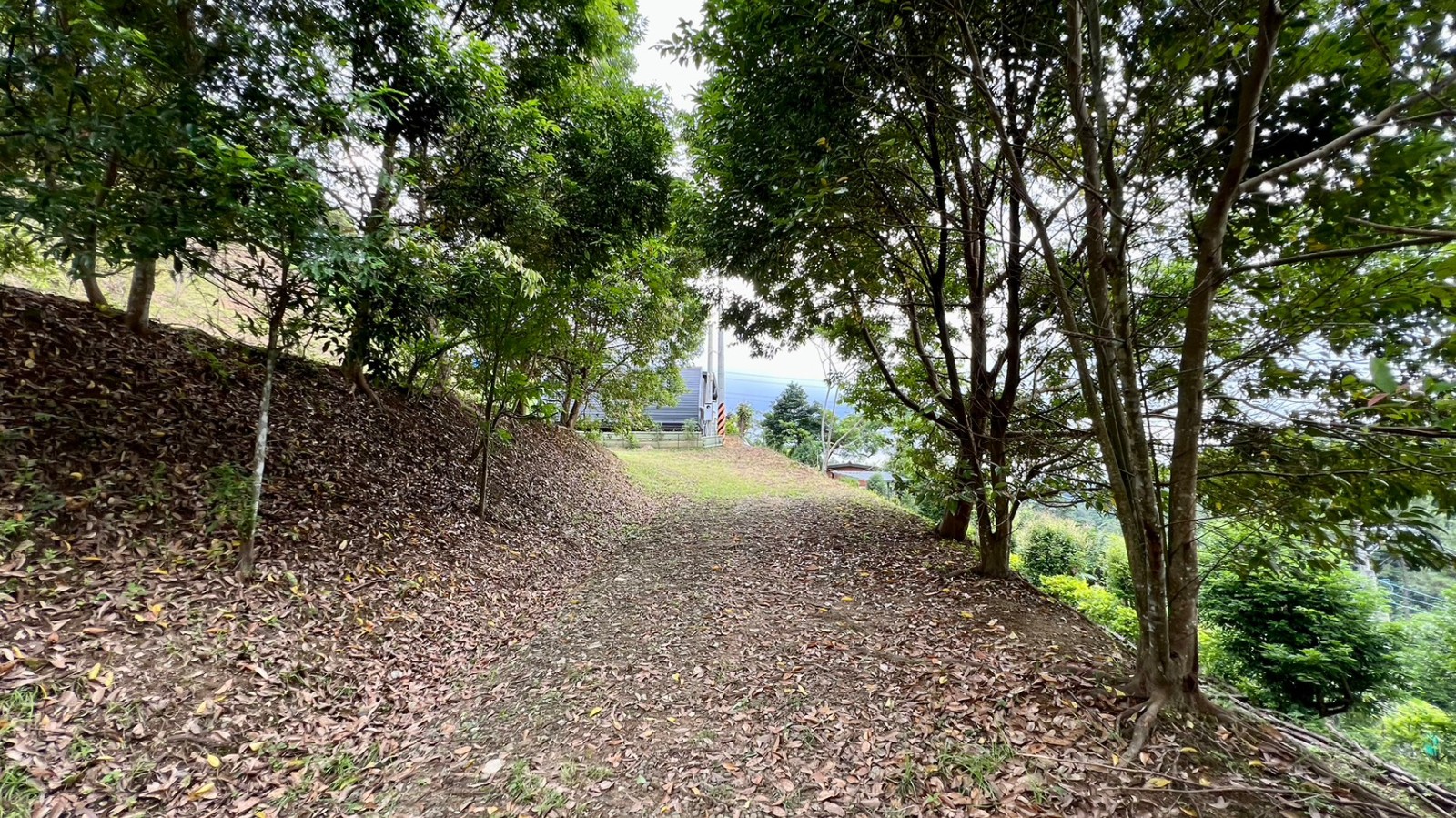 北埔夢田築夢莊園美農地