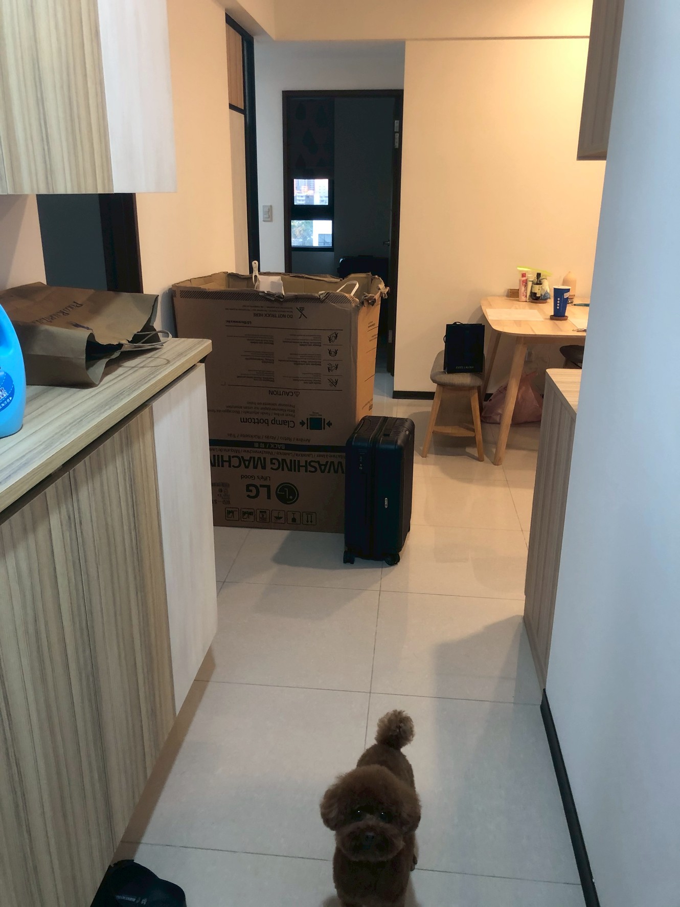 單元二全新3房+平車