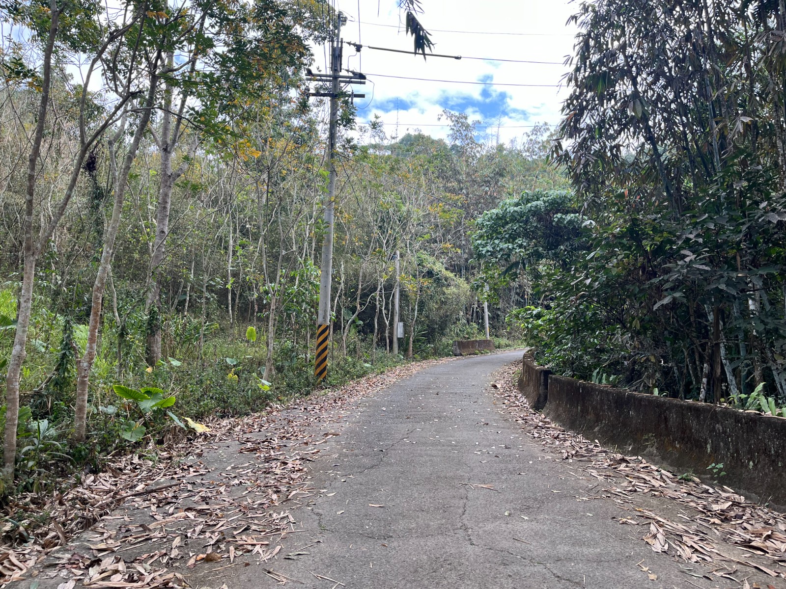 鹿谷近市區商圈景觀投資地