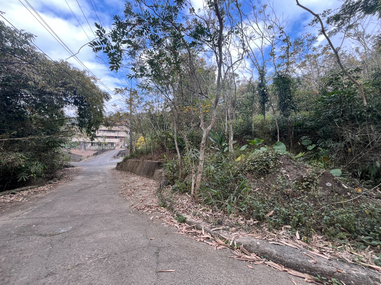 鹿谷近學校公車大景觀農地