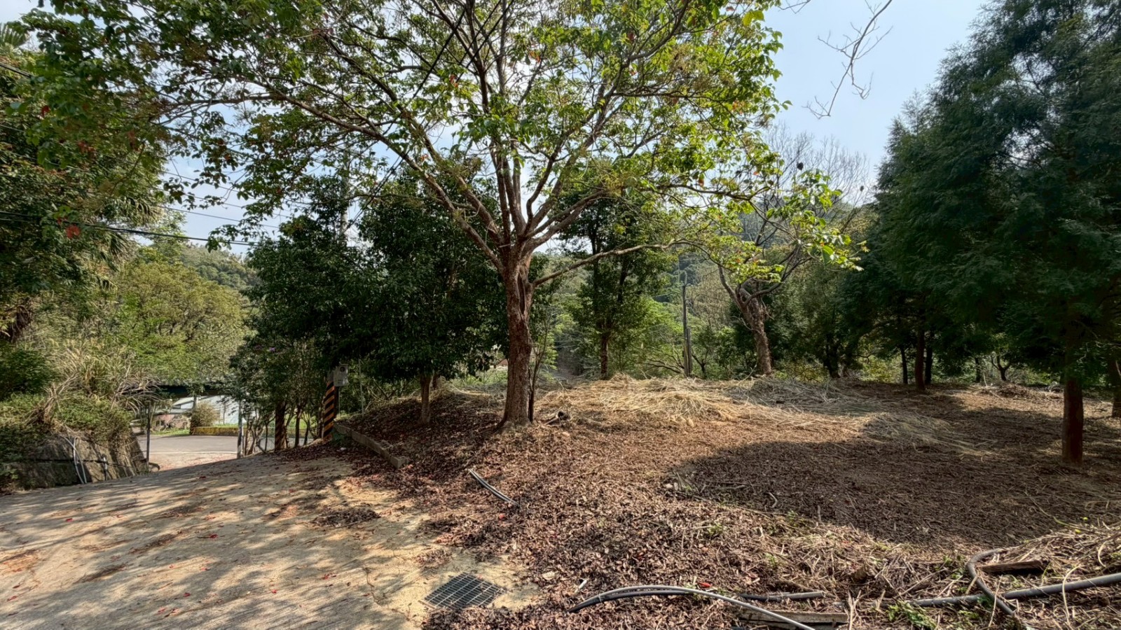 南埔生態村養生休閒農地