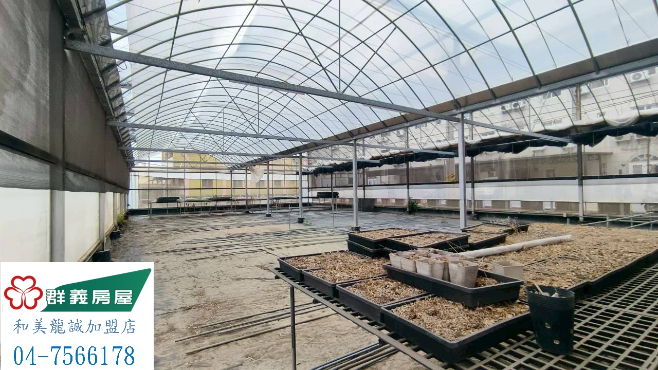 和美溫室250坪出租