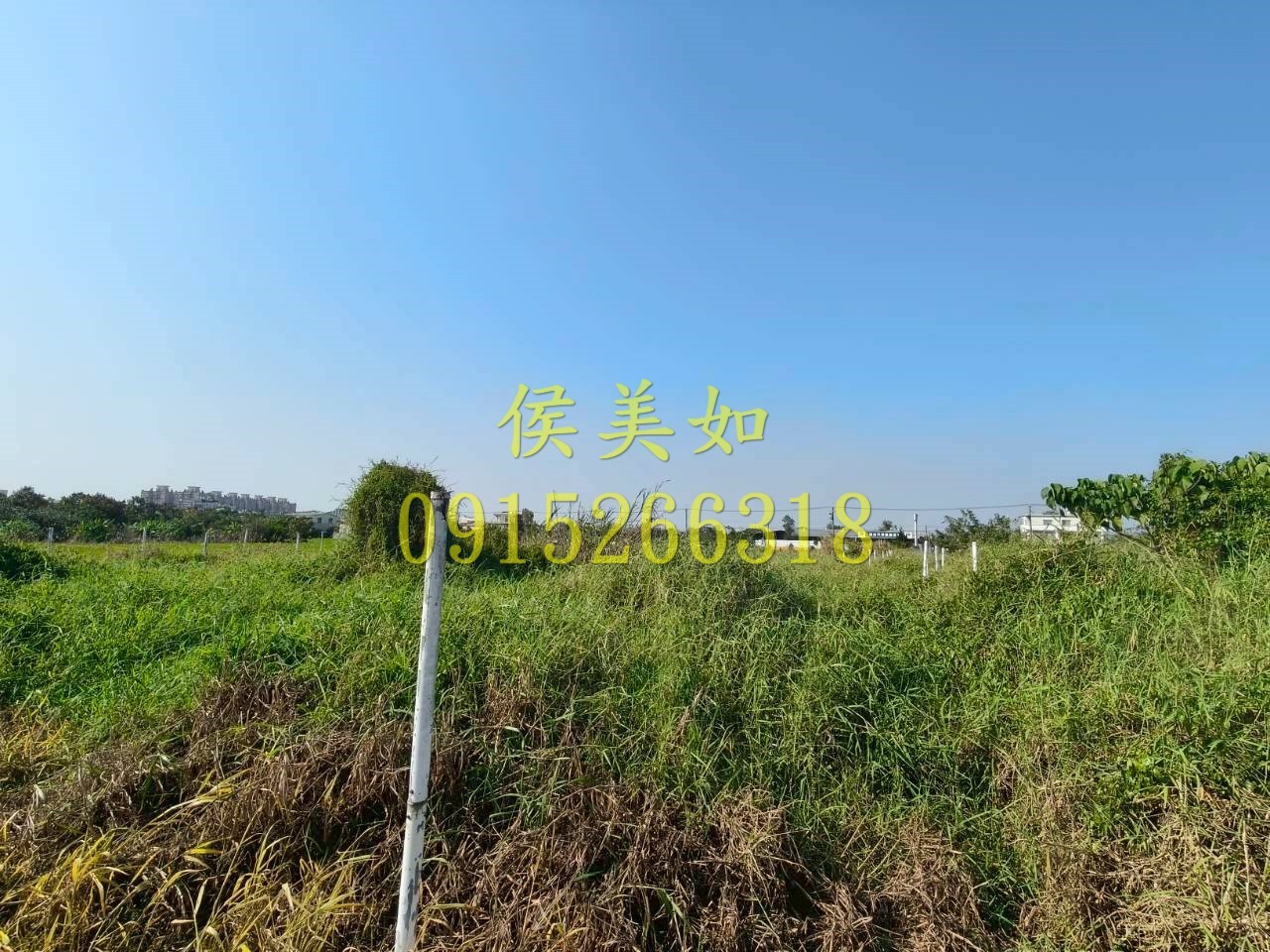 義教街都計農地-台慶侯美如