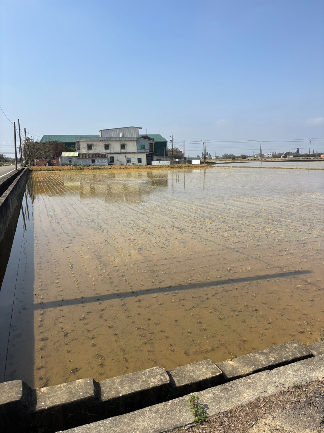 【新屋區】大面寬地形方正雙面路農地