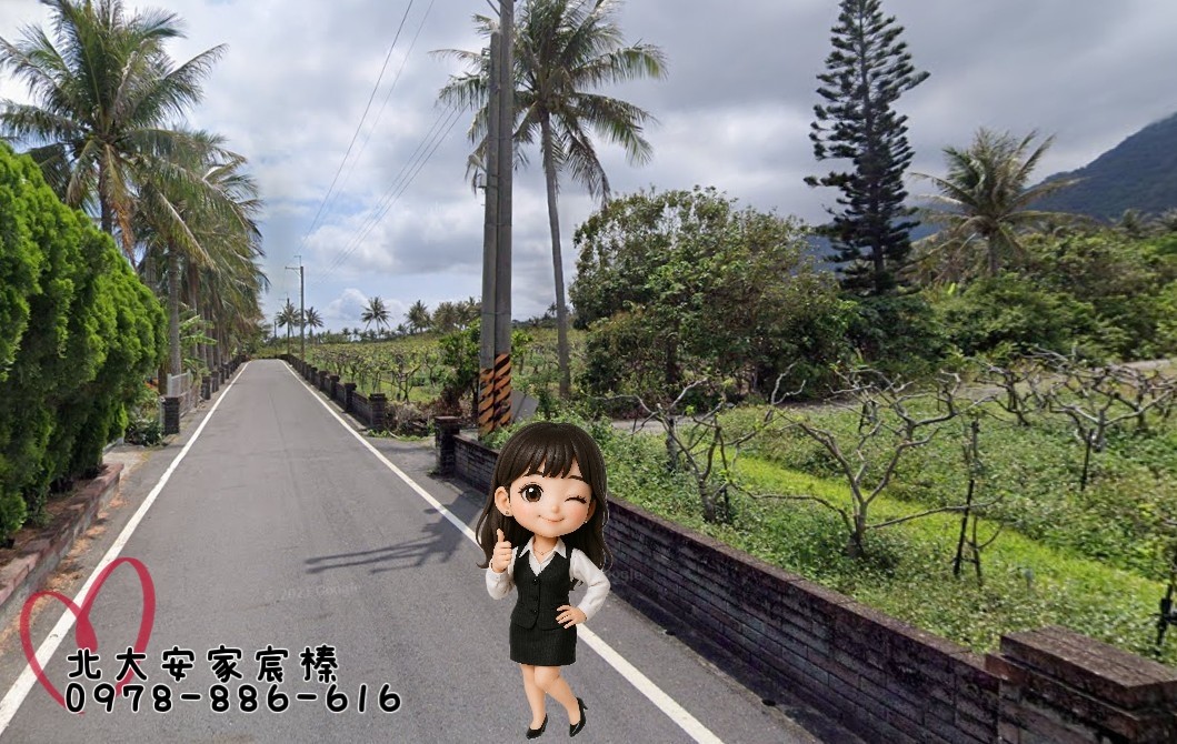 安家幸福在北大 台東東河鄉渡假慢活山海天域美農地