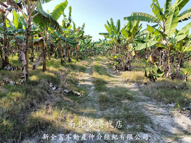 🍎左鎮區~左鎮段🍎左鎮１．９６分香蕉園農地💎洽0916-275-145 蔡銘勳