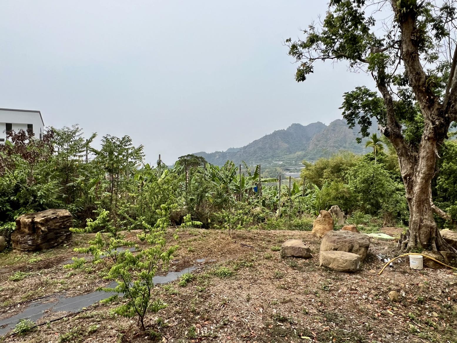 草屯雙冬中潭景觀休閒農地1.5分