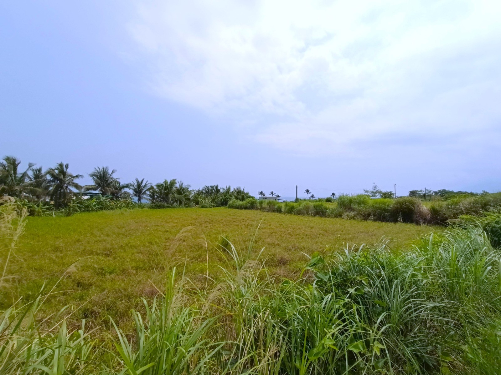 近長濱市區省道旁海景農地（5.15分）