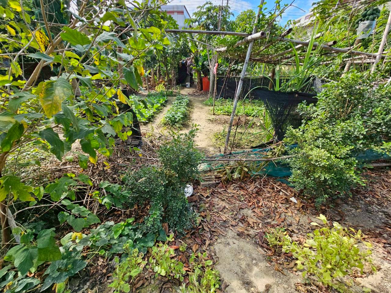 和美和厝大面寬建地~0980-233766