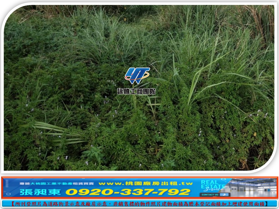 新屋市區旁工業地