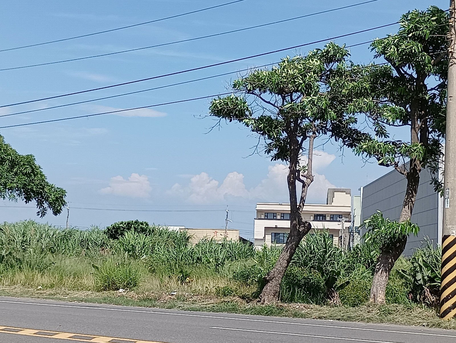 福興~管嶼國小#丁建廠房~黃秀菁0980-233766