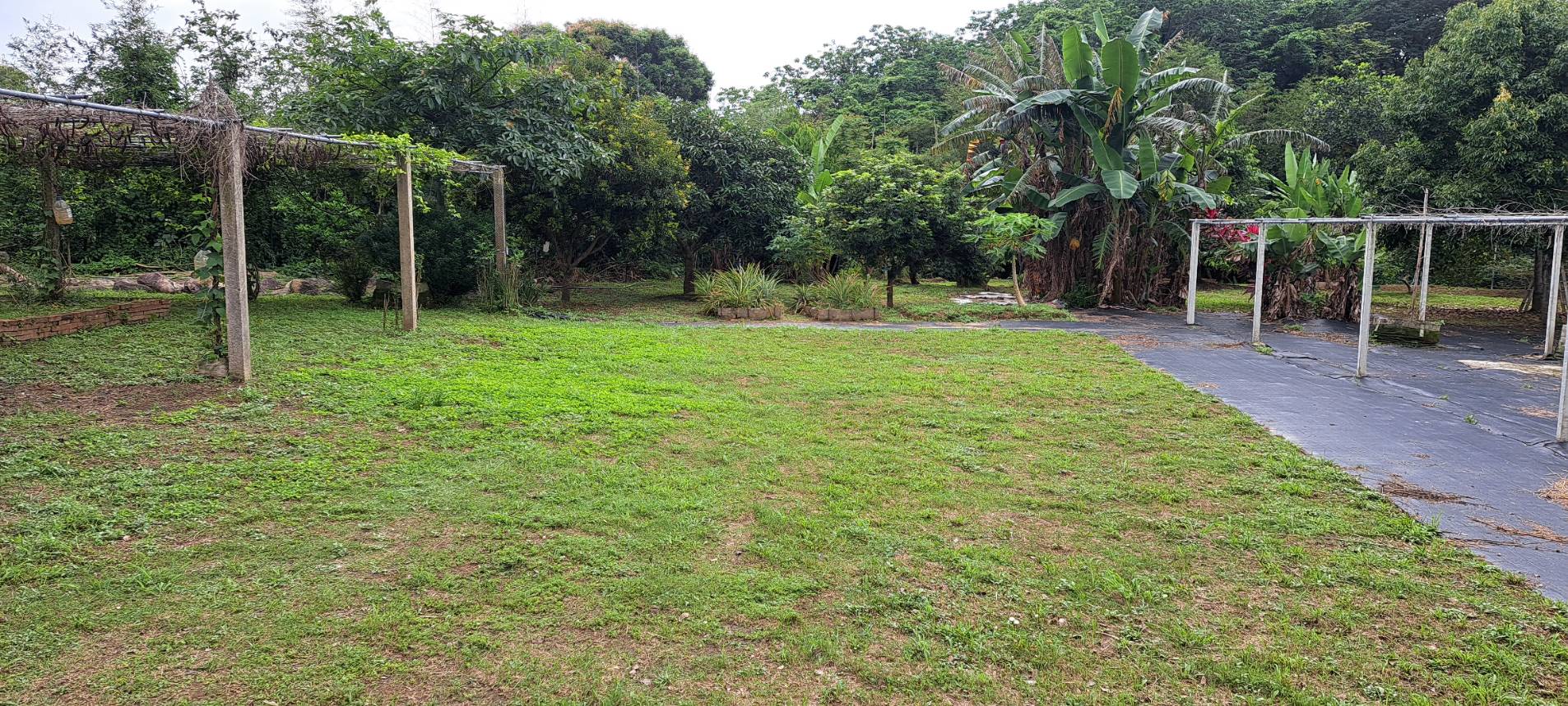 峨眉十二寮美農地