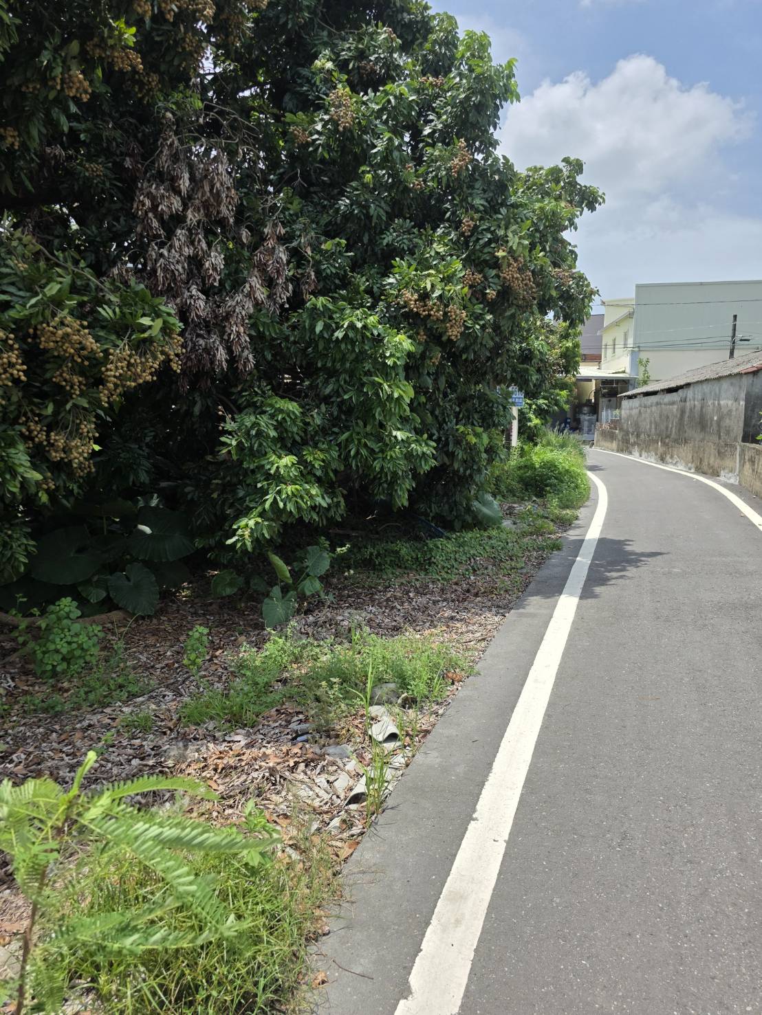 屏東萬丹鄉農地+建地 出售