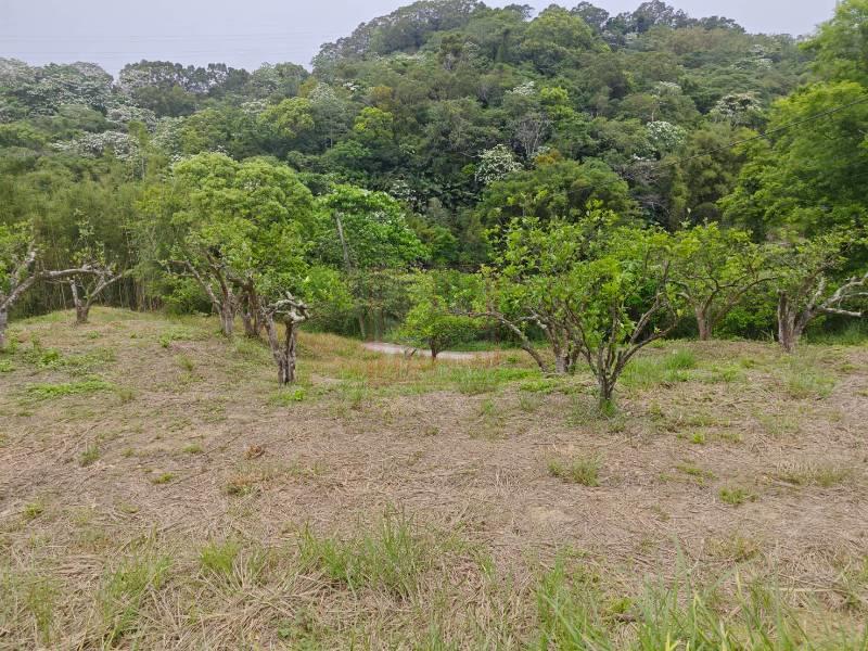 苗栗縣頭份市尖山公路臨路農地+附水電 春明地產