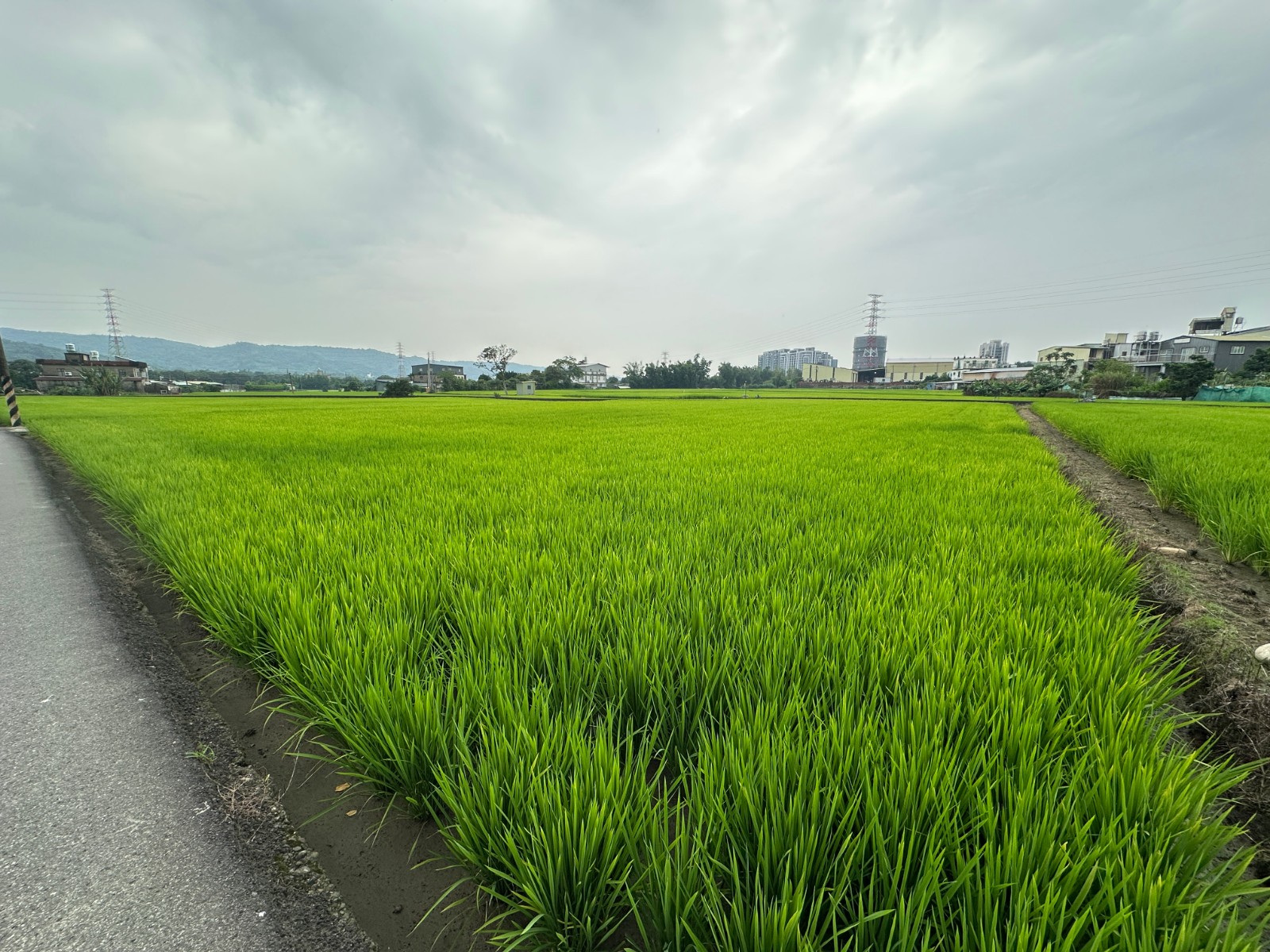 新關路角地方正美田