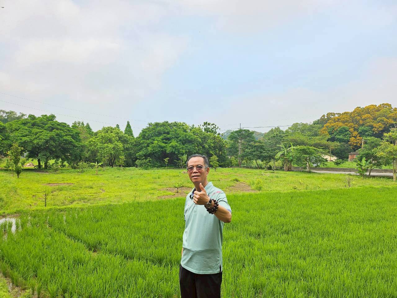 苗栗通霄臨路大面寬福興段農地台中買屋賣房 土地王劉志忠
