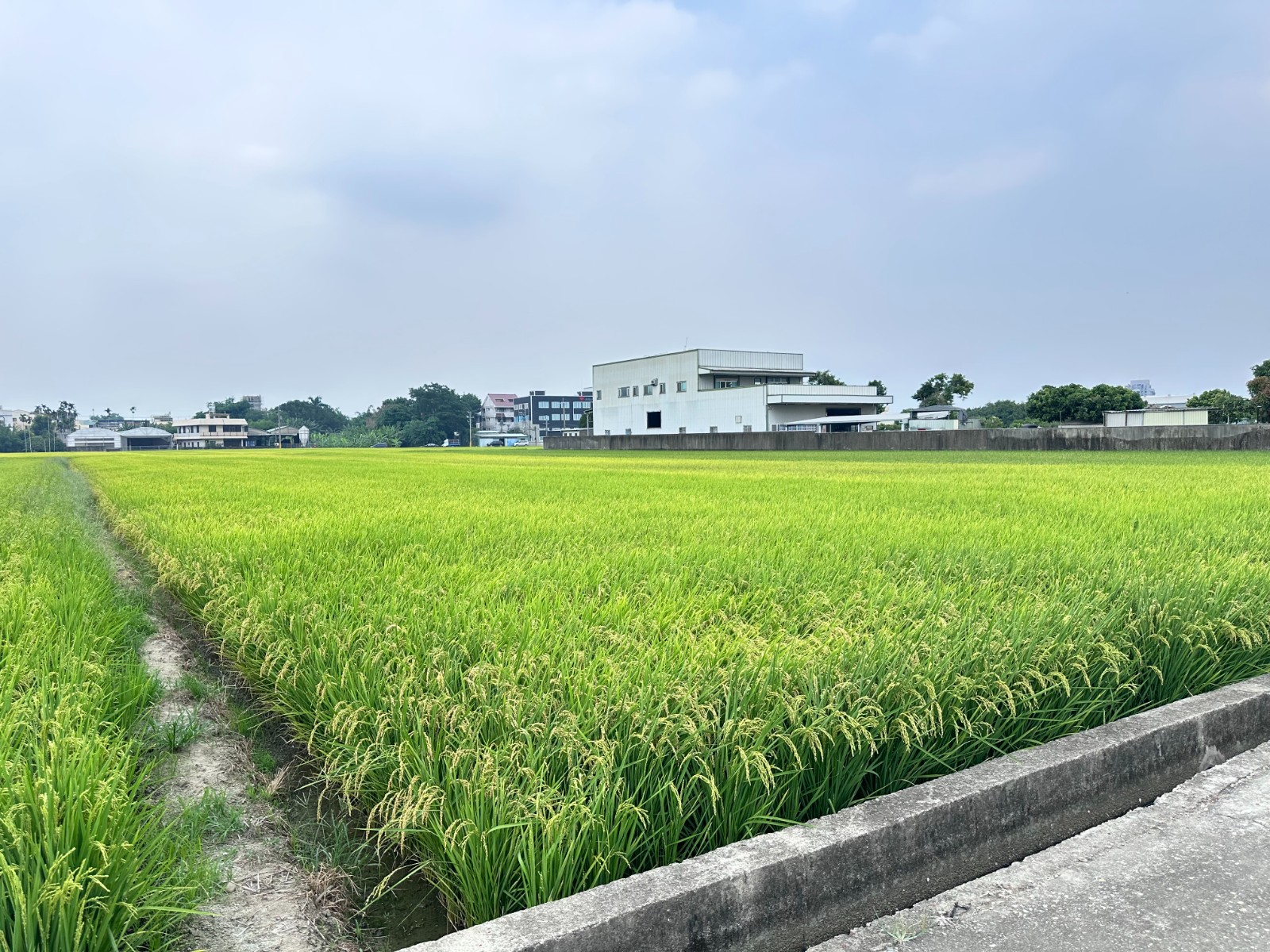 ❤️草屯近國3。中投方正農地