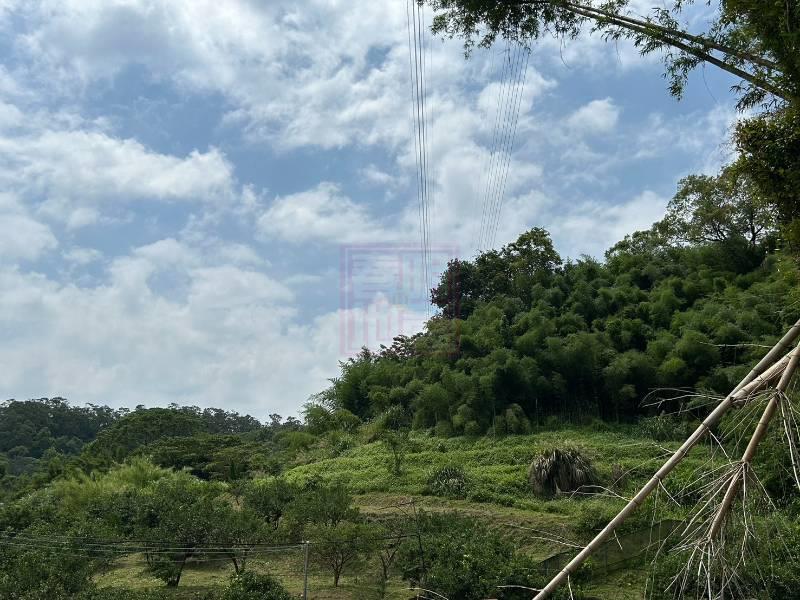 新竹縣峨眉鄉富興低總價丙建+林地 春明地產