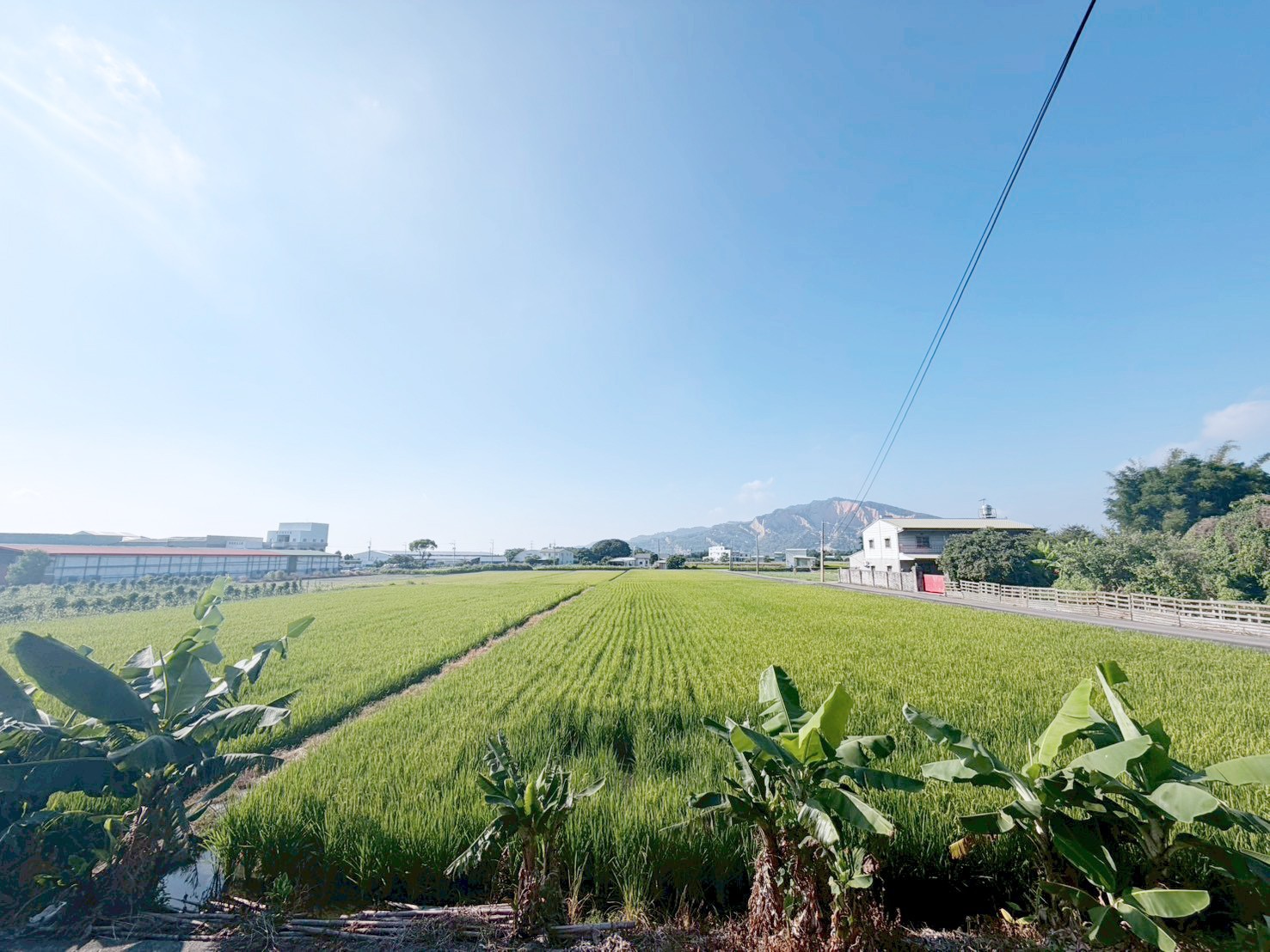中科后花園方正角農地