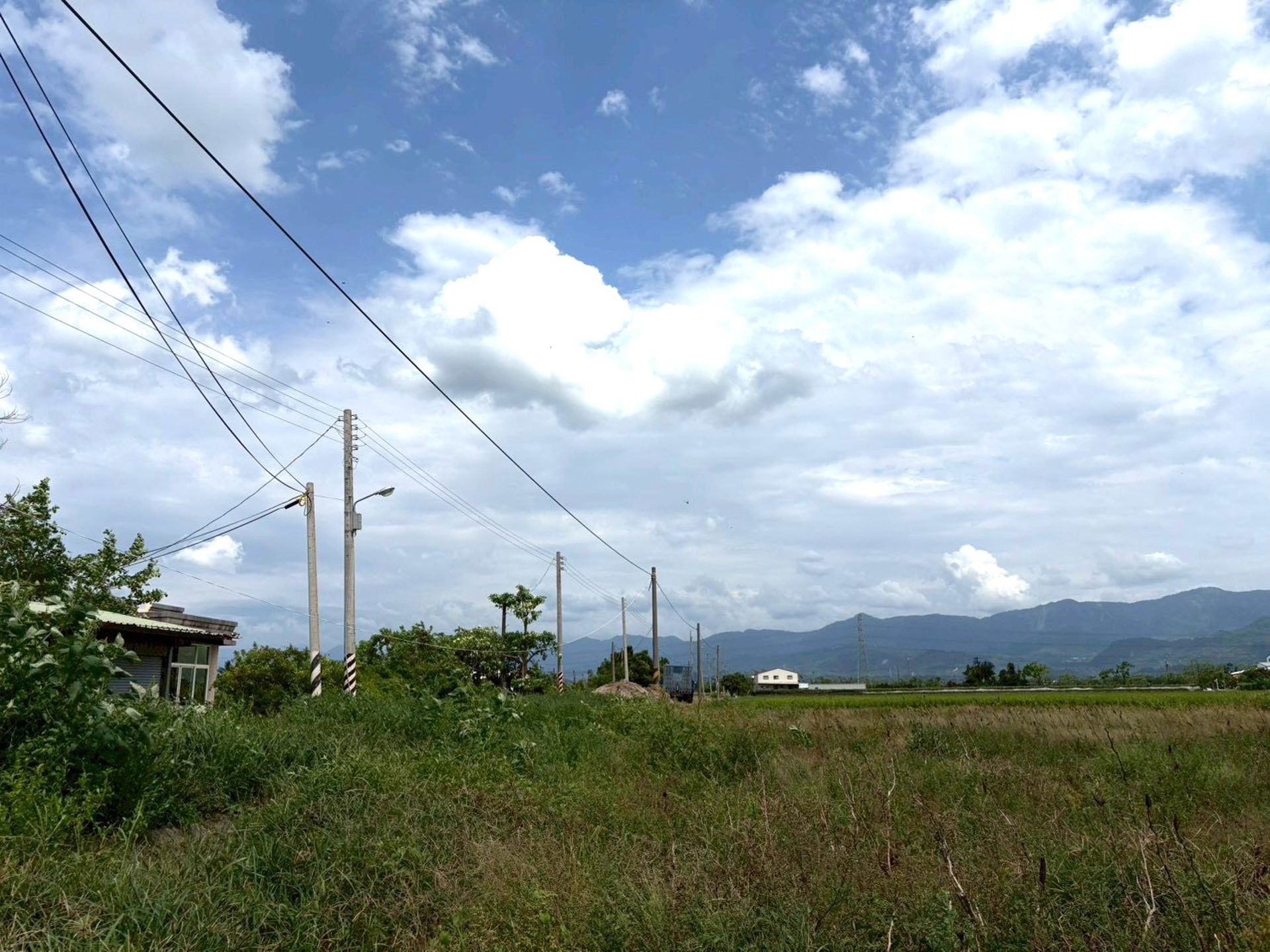白河區鄰近木棉花道絕版6分多平坦優質農地