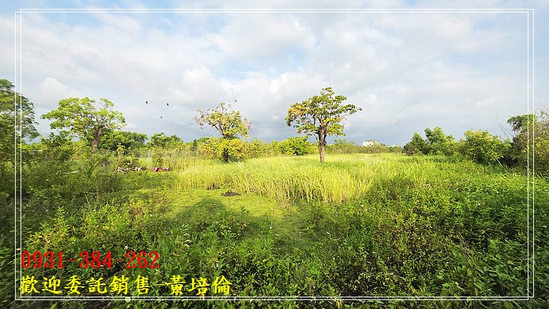 安定主要計畫增值農地0931384262