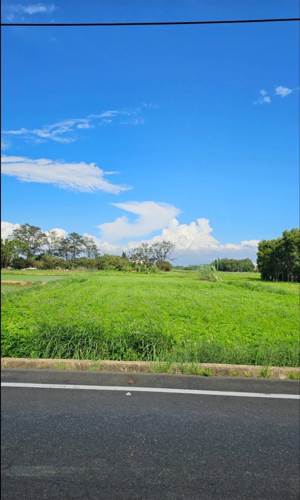新屋正新湖路邊美農地