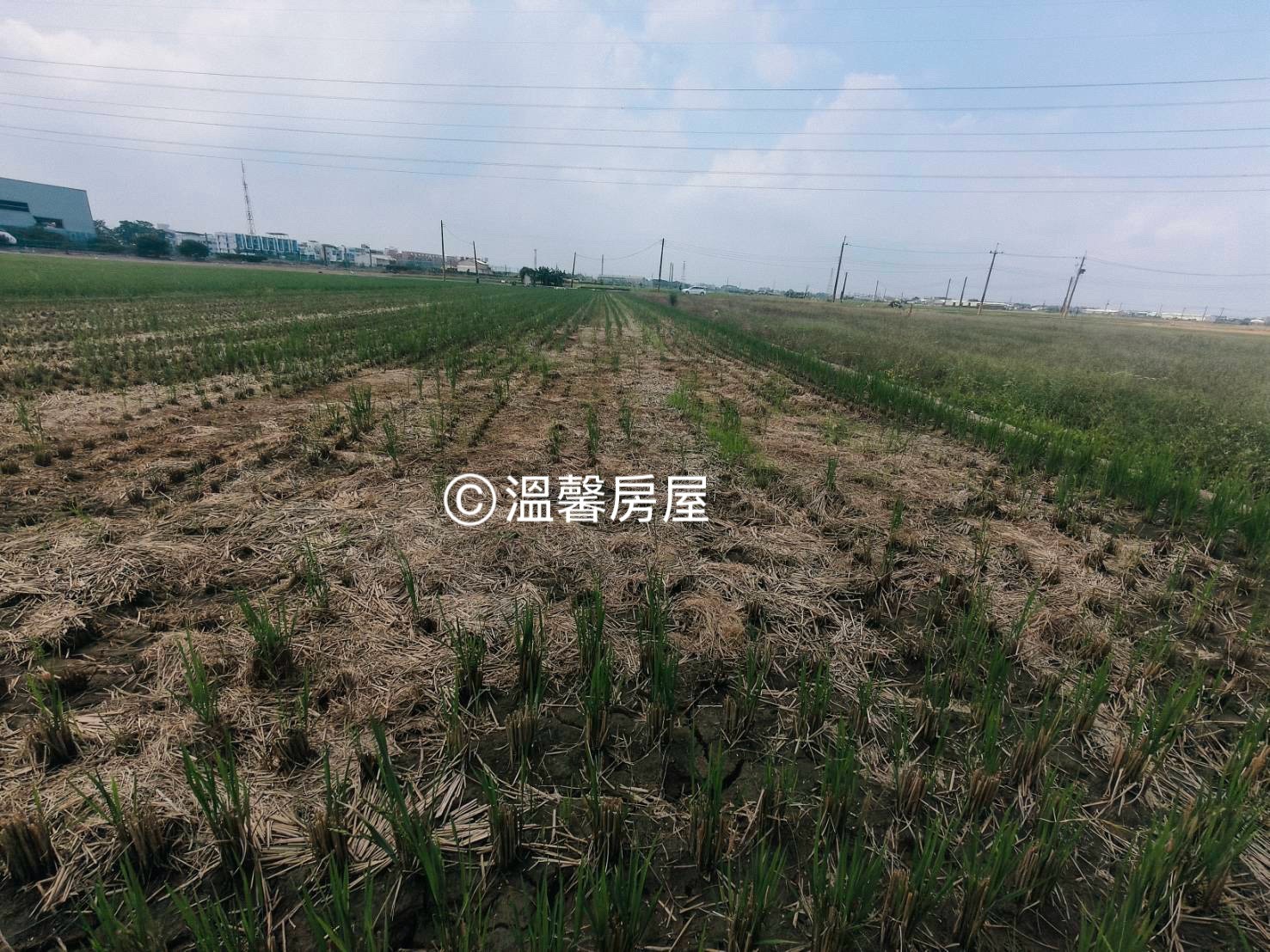 【大林省道旁農地｜有水有電｜釋出】