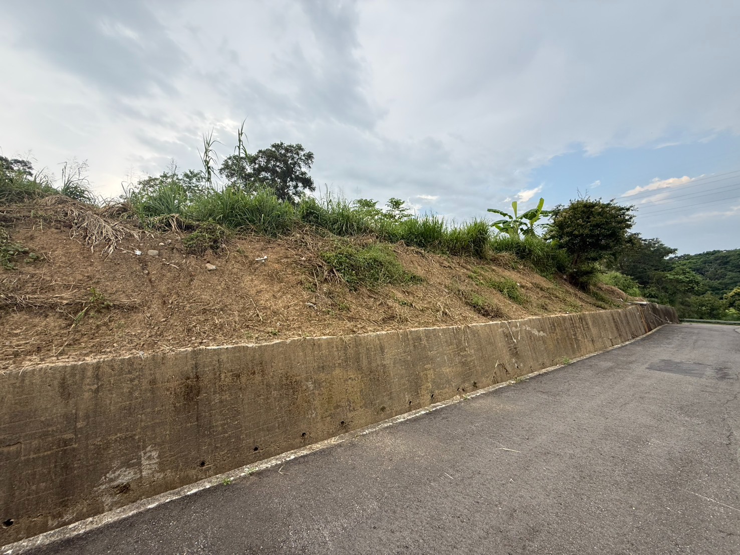 寶山園區*雙面臨路*大面積農地