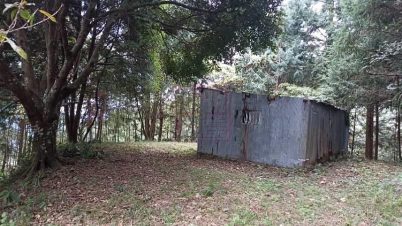 新竹縣尖石鄉義興段森林碳權景觀美地