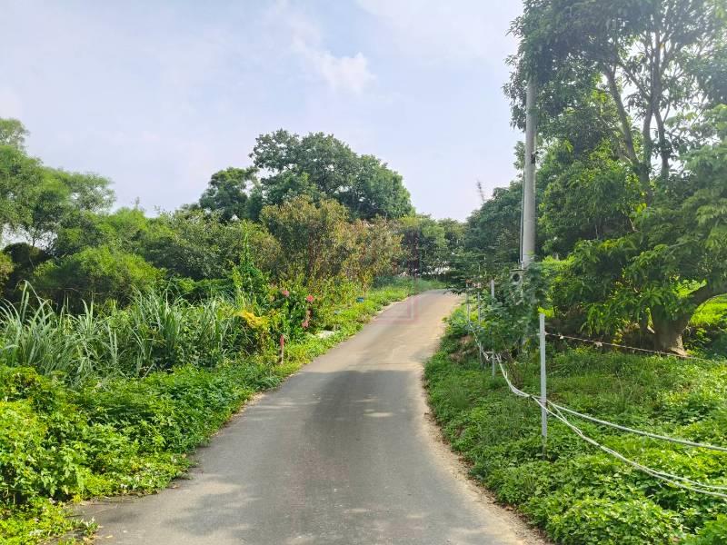 新竹縣新埔鎮南平路便宜農地 春明地產