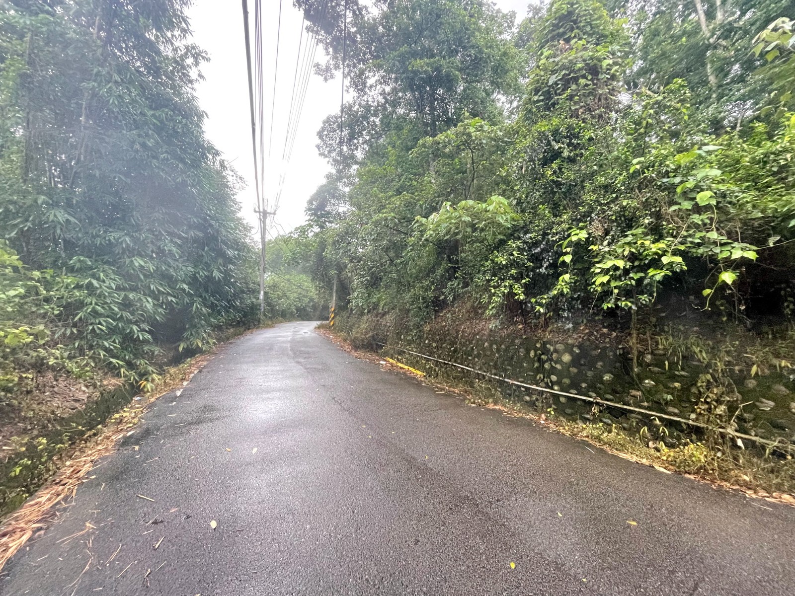 竹山過溪國小農地6分6