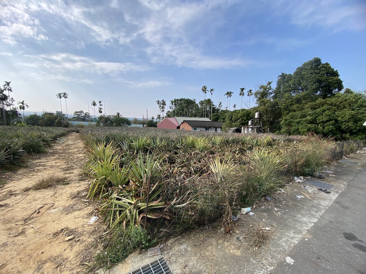 名間萬丹15米路農地634坪