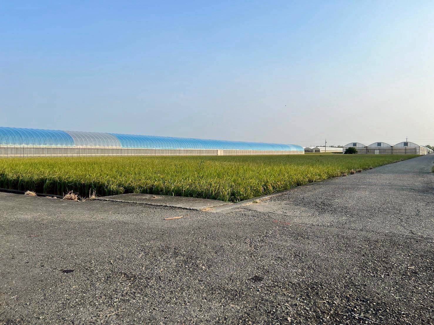 太保市高鐵旁農地