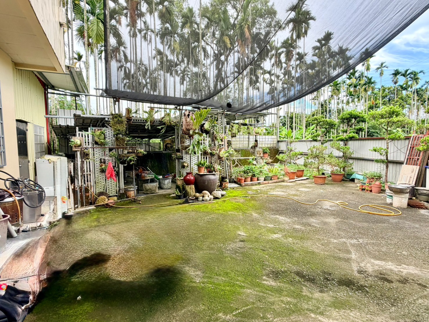 中寮復興平坦果園3.3分+合法農舍