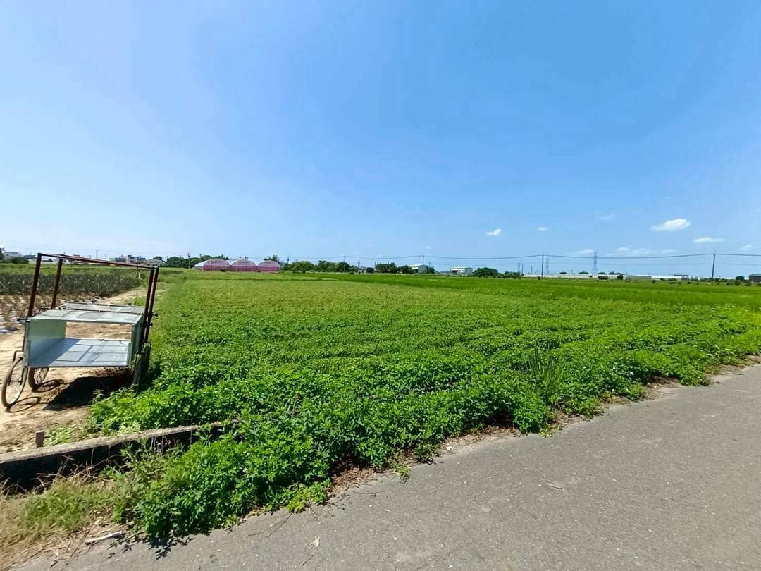民雄日光市旁美農地｜平坦好規劃